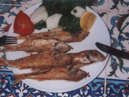 Törn 2001